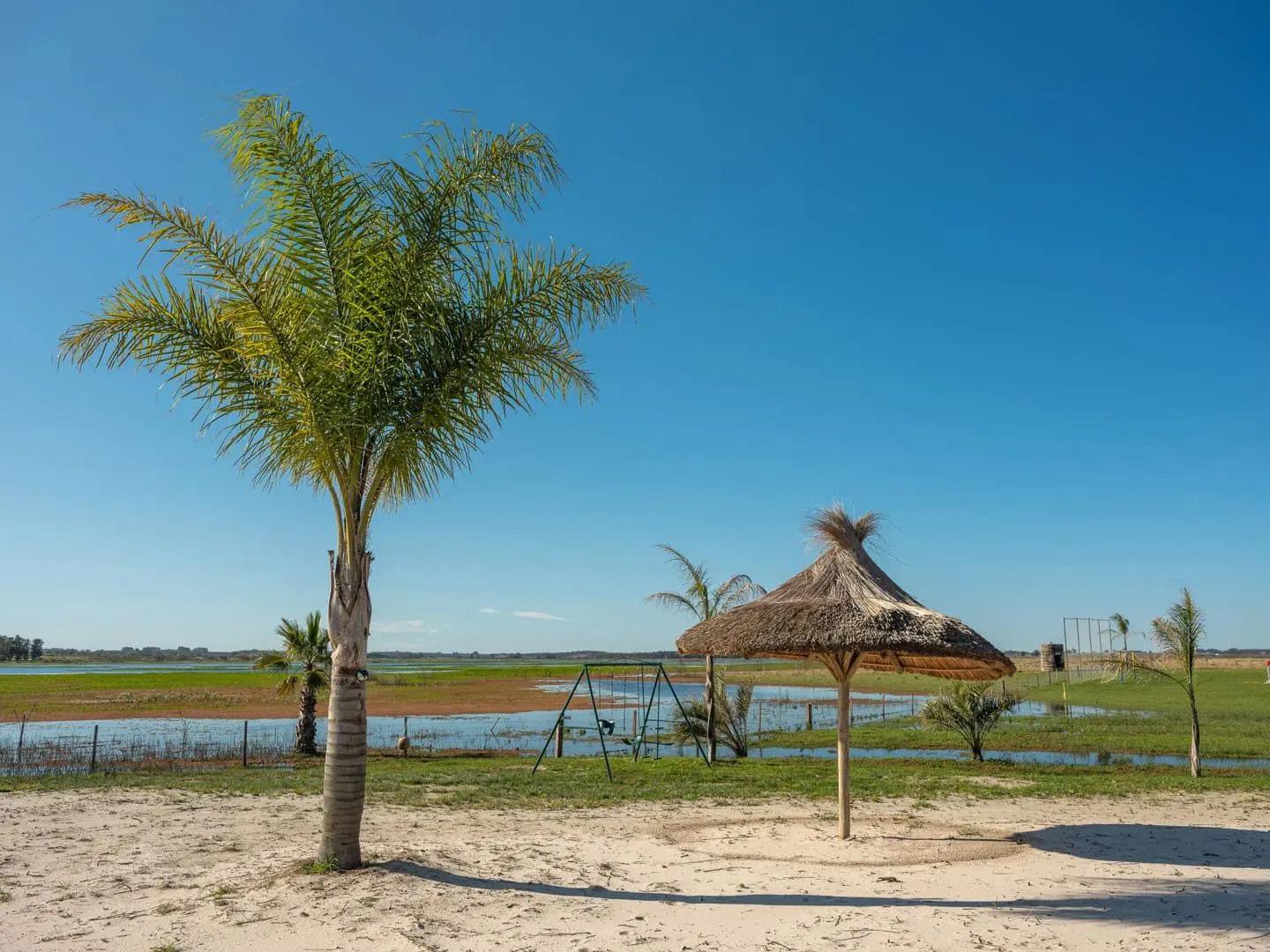 Área Laguna del Cisne